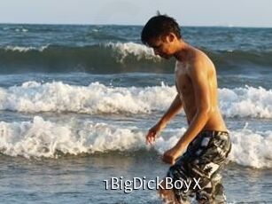 1BigDickBoyX