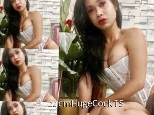 24cmHugeCockTS