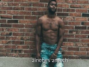 2inches_2much