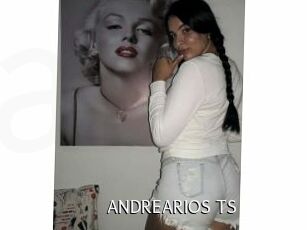 ANDREARIOS_TS