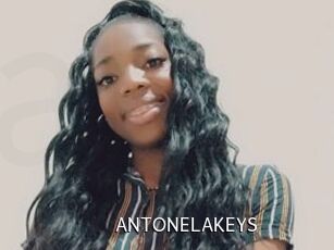 ANTONELAKEYS