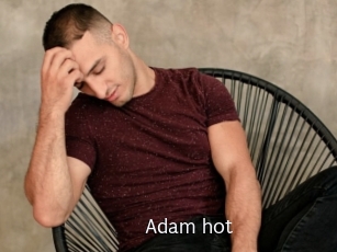 Adam_hot Anal Fist