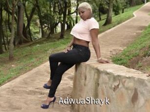 AdwuaShayk