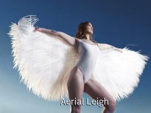 Aerial_Leigh