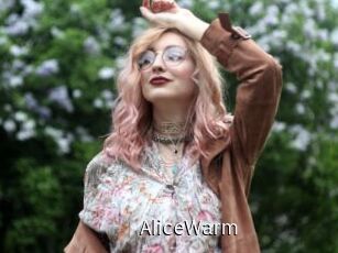 AliceWarm