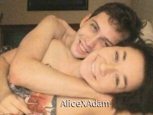 Alice_X_Adam