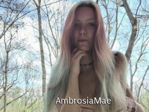 AmbrosiaMae