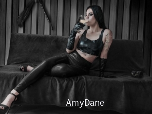 AmyDane Anal Fist