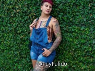 AndyPulido