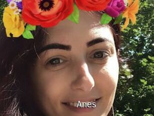 Anes