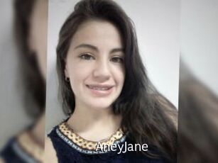 AneyJane