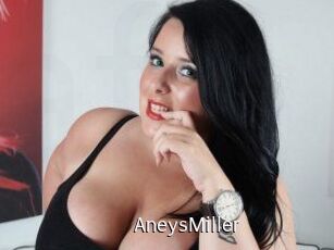AneysMiller