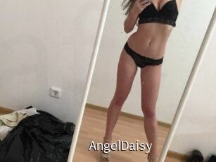 AngelDaisy