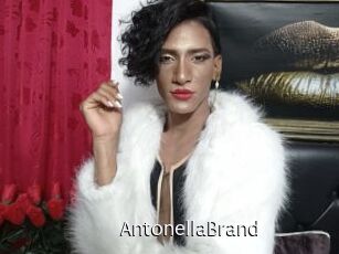 AntonellaBrand