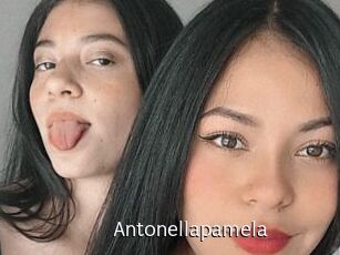 Antonellapamela