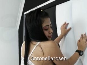 Antonellarosen