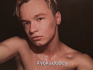 AvokadoBoy