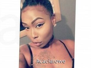 Acacia_rowe