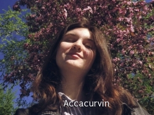 Accacurvin