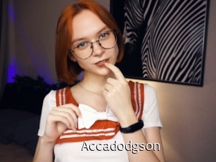 accadodgson Anal Fist