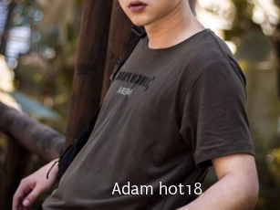 adam_hot18 Anal Fist