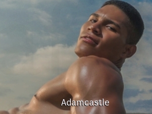 adamcastle Anal Fist