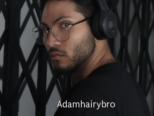 adamhairybro Anal Fist
