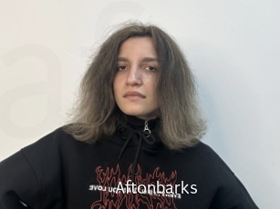 Aftonbarks