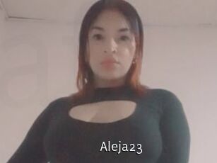 Aleja23