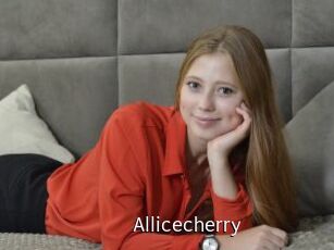 Allicecherry