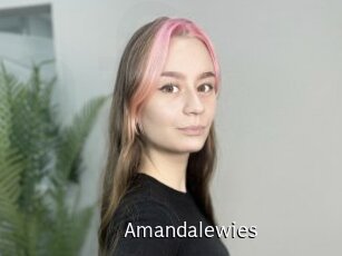 amandalewies Anal Fist