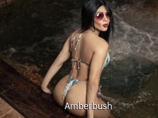 amberbush Anal Fist