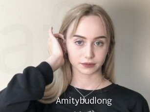 Amitybudlong