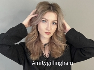 amitygillingham Anal Fist
