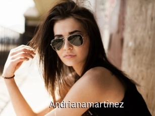 Andrianamartinez