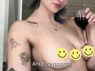 Androgynaughty