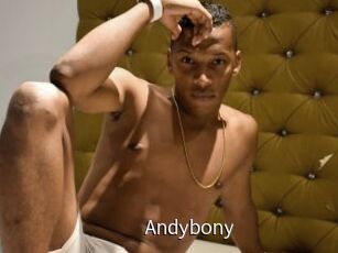 Andybony