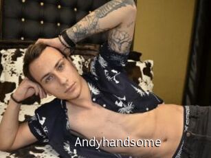 Andyhandsome