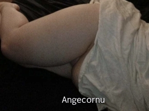 angecornu Anal Fist