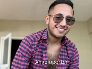 Angeloporter