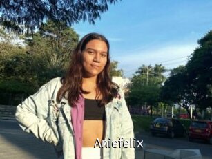 Aniefelix