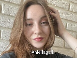 Aniellagalli