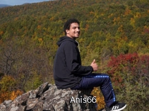 Anis66