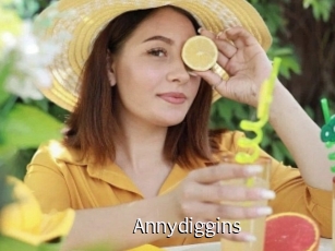 Annydiggins