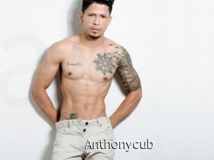 Anthonycub