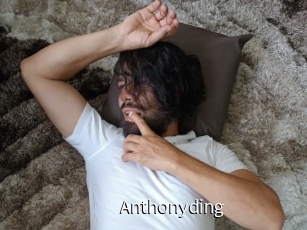 anthonyding Anal Fist