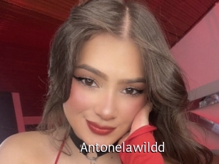 Antonelawildd