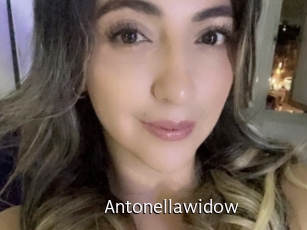 Antonellawidow