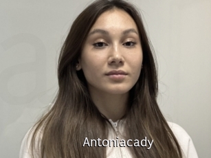 Antoniacady