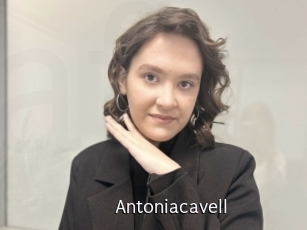 Antoniacavell